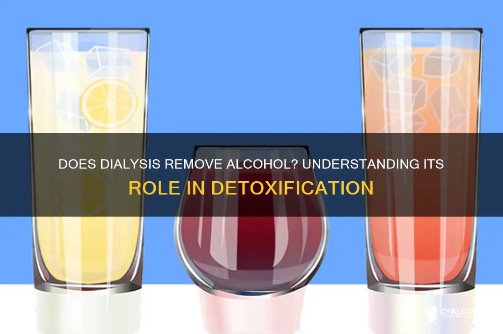 does dialysis remove alcohol