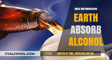 Exploring the Absorption Properties of Diatomaceous Earth: A Comprehensive Guide