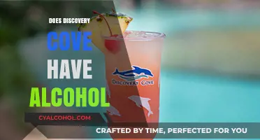 Exploring the Amenities: Is Alcohol Served at Discovery Cove?