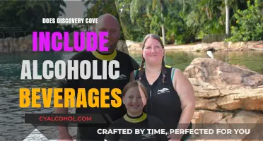 Does Discovery Cove Offer Alcoholic Beverages? A Complete Guide