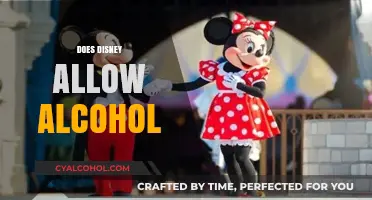 Disney's Alcohol Policy: What You Need to Know Before Your Visit