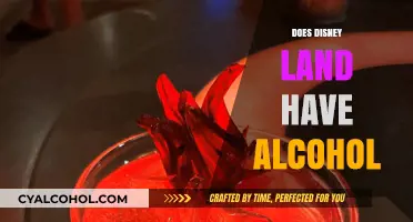 Exploring the Magic Kingdom: Is Alcohol Served at Disneyland?