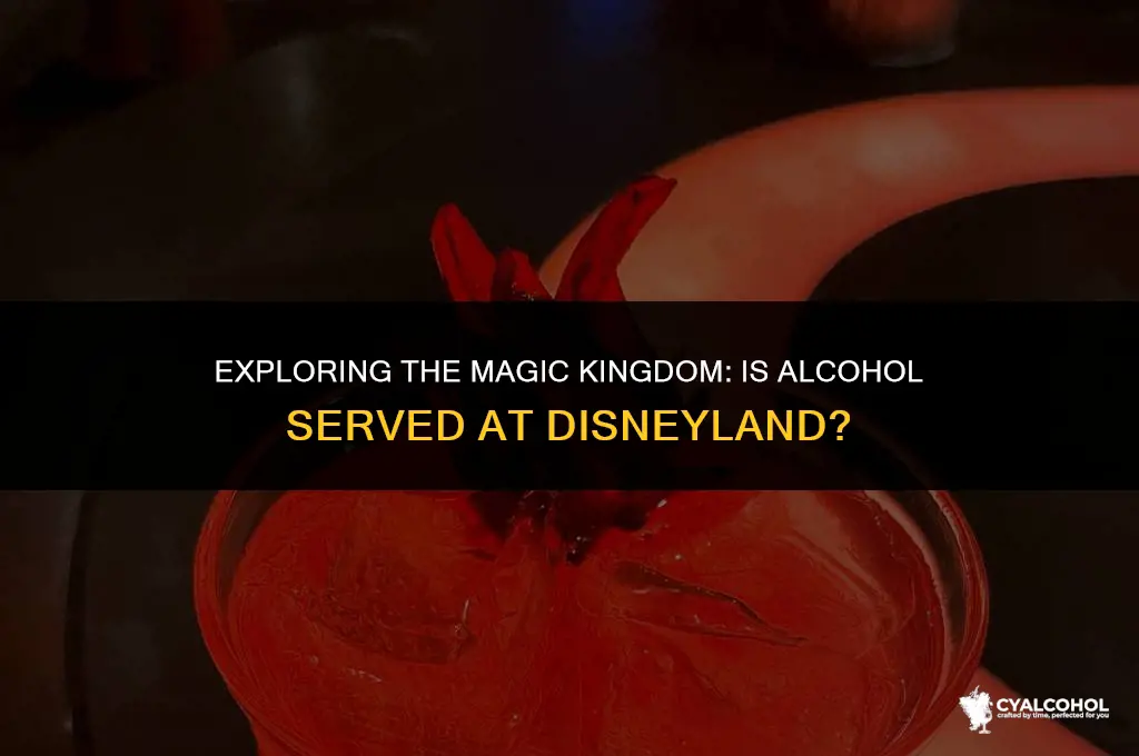 does disney land have alcohol
