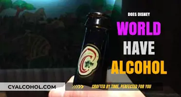Disney World and Alcohol: What You Need to Know