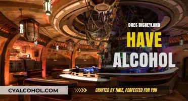 Disneyland and Alcohol: Where to Find Drinks in the Parks