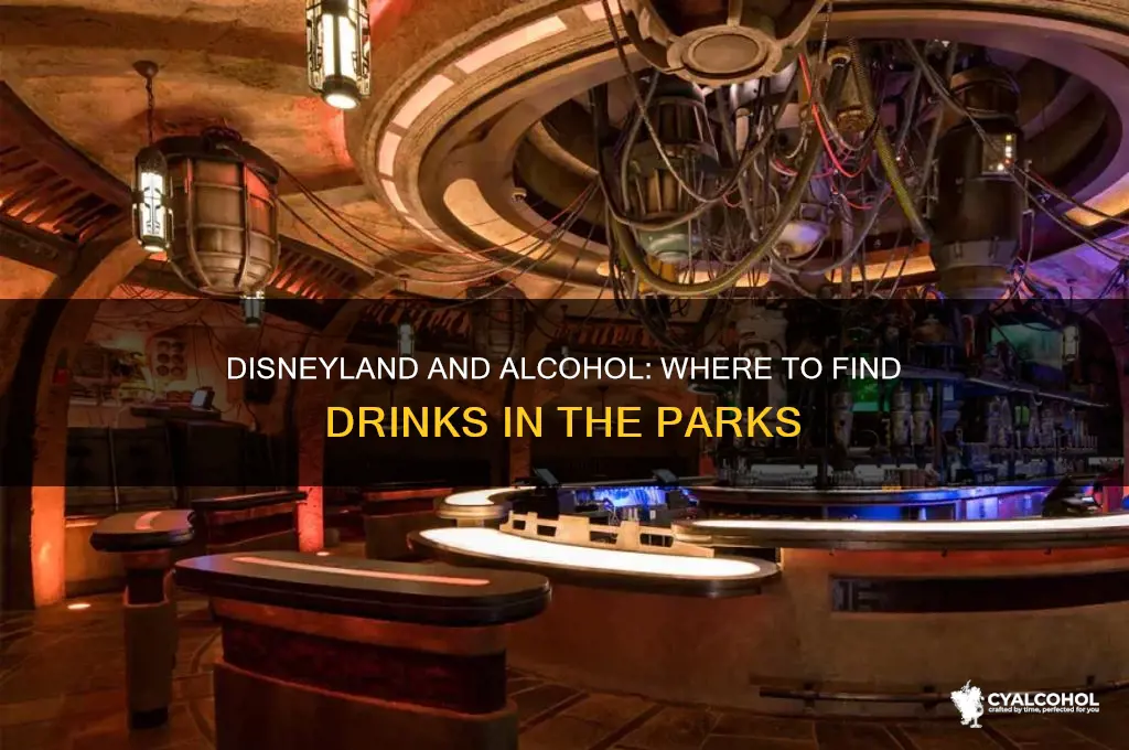 does disneyland have alcohol