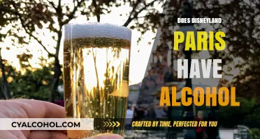 Sipping Magic: The Truth About Alcohol at Disneyland Paris