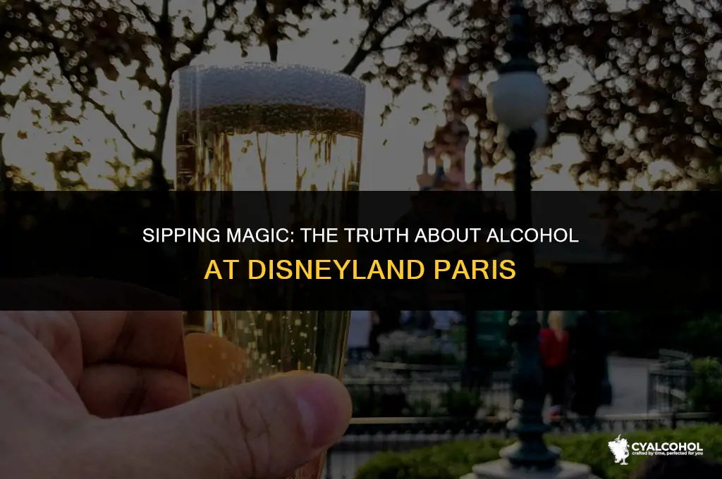 does disneyland paris have alcohol