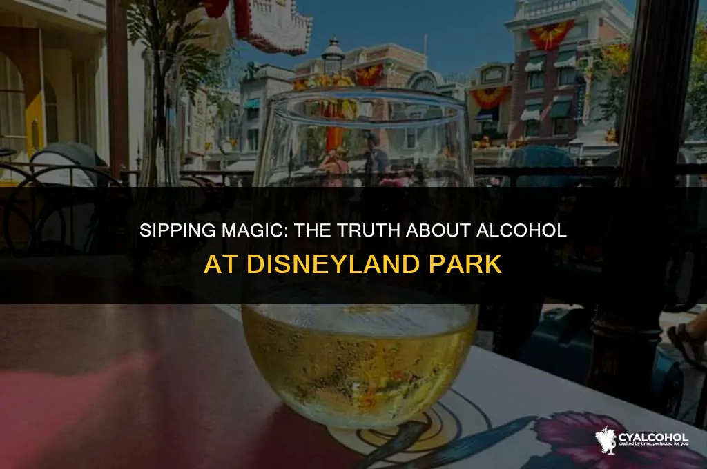 does disneyland park have alcohol