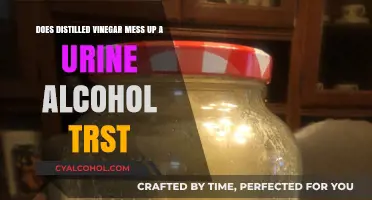 Can Distilled Vinegar Affect Urine Alcohol Test Results?
