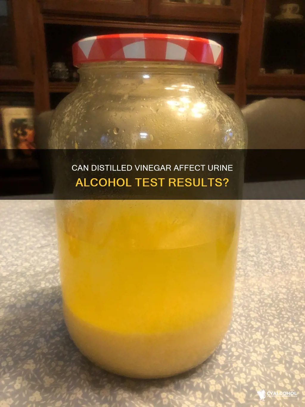 does distilled vinegar mess up a urine alcohol trst