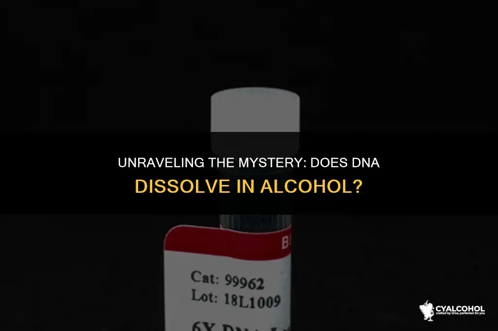 does dna dissolve in alcohol