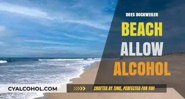 Alcohol Policies at Dockweiler Beach: What You Need to Know
