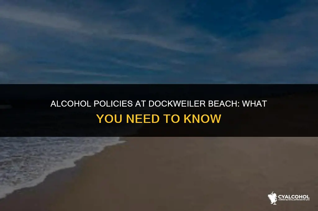does dockweiler beach allow alcohol