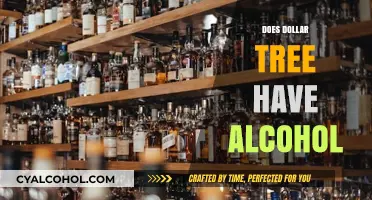 Does Dollar Tree Sell Alcohol? Exploring Their Beverage Options