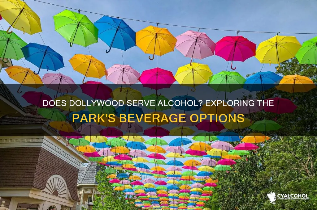 does-dollywood-serve-alcohol-exploring-the-park-s-beverage-options
