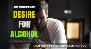 Dopamine's Role in Reducing Alcohol Cravings: Science Explained