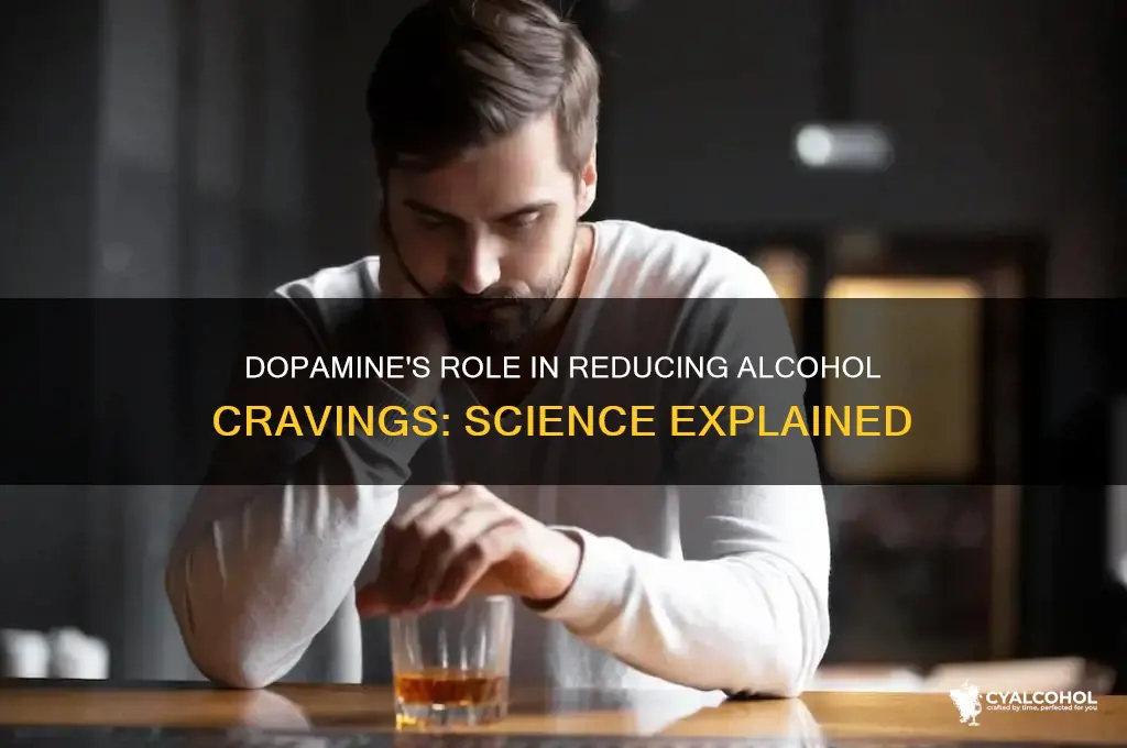 does dopamine reduce desire for alcohol