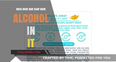 Does Dove Bar Soap Contain Alcohol? Ingredients Explained