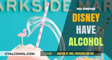 Exploring Downtown Disney: A Guide to Alcohol Availability