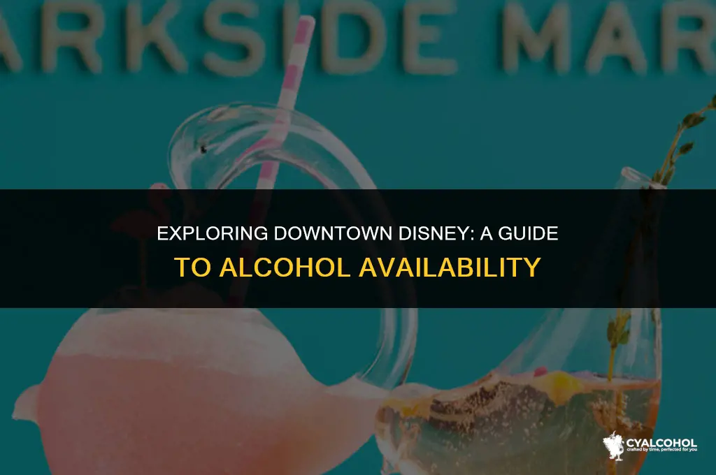 does downtown disney have alcohol