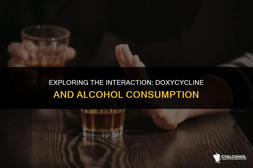 does doxycycline work with alcohol