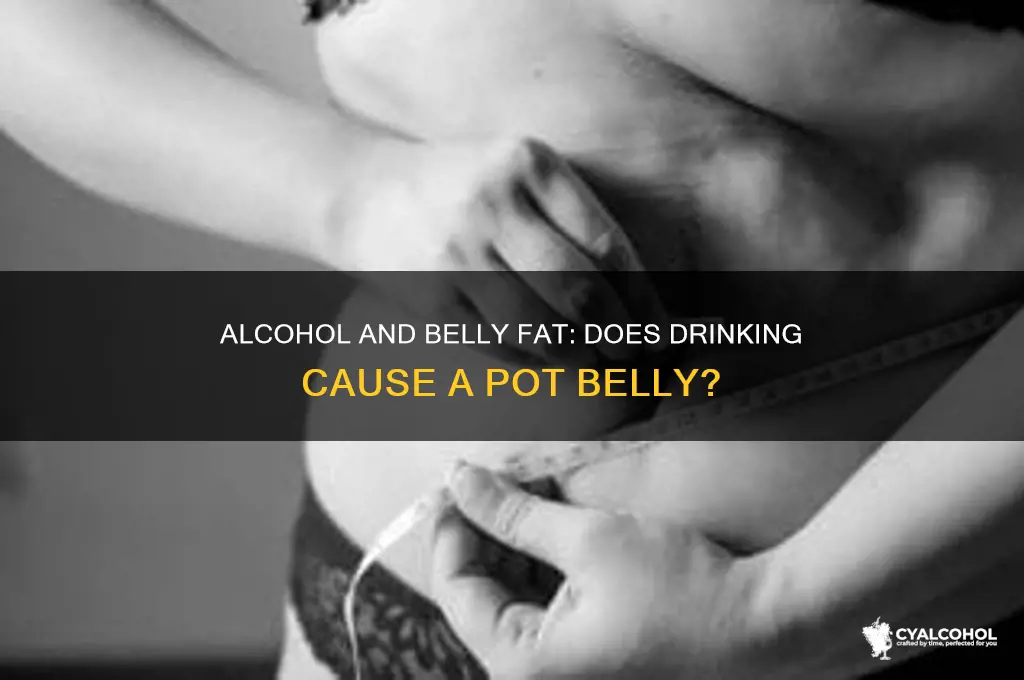 does dringing alcohol give you a pot belly