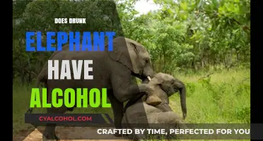 Unveiling the Truth: Drunk Elephant Products and Alcohol Content