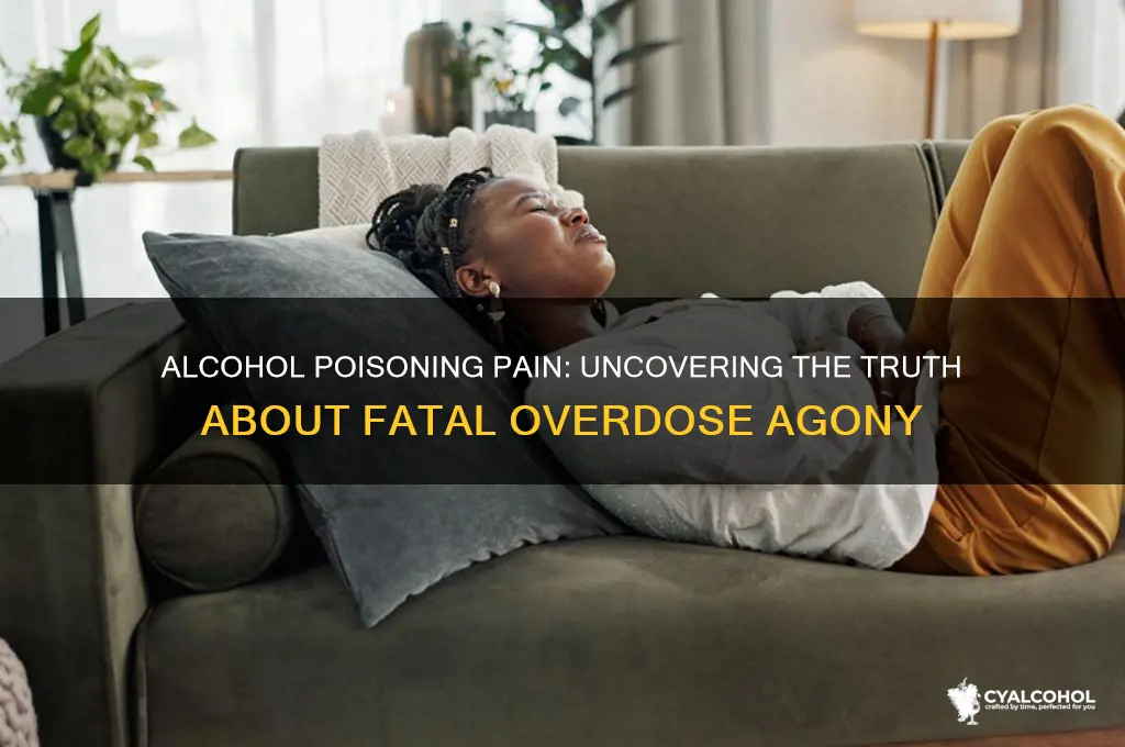 does dying from alcohol poisoning hurt