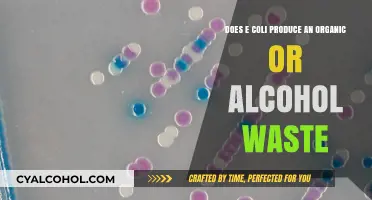 E. coli Waste: Alcohol or Organic?