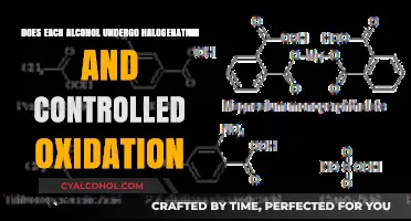 Halogenation and Oxidation Reactions: Do All Alcohols Undergo These Processes?