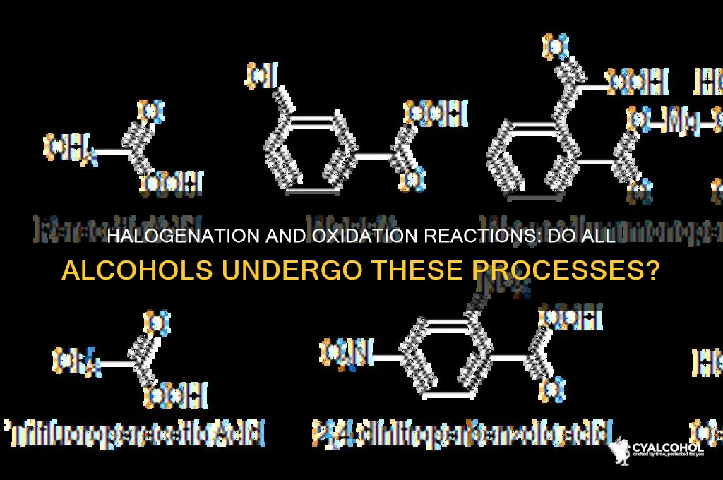 does each alcohol undergo halogenation and controlled oxidation