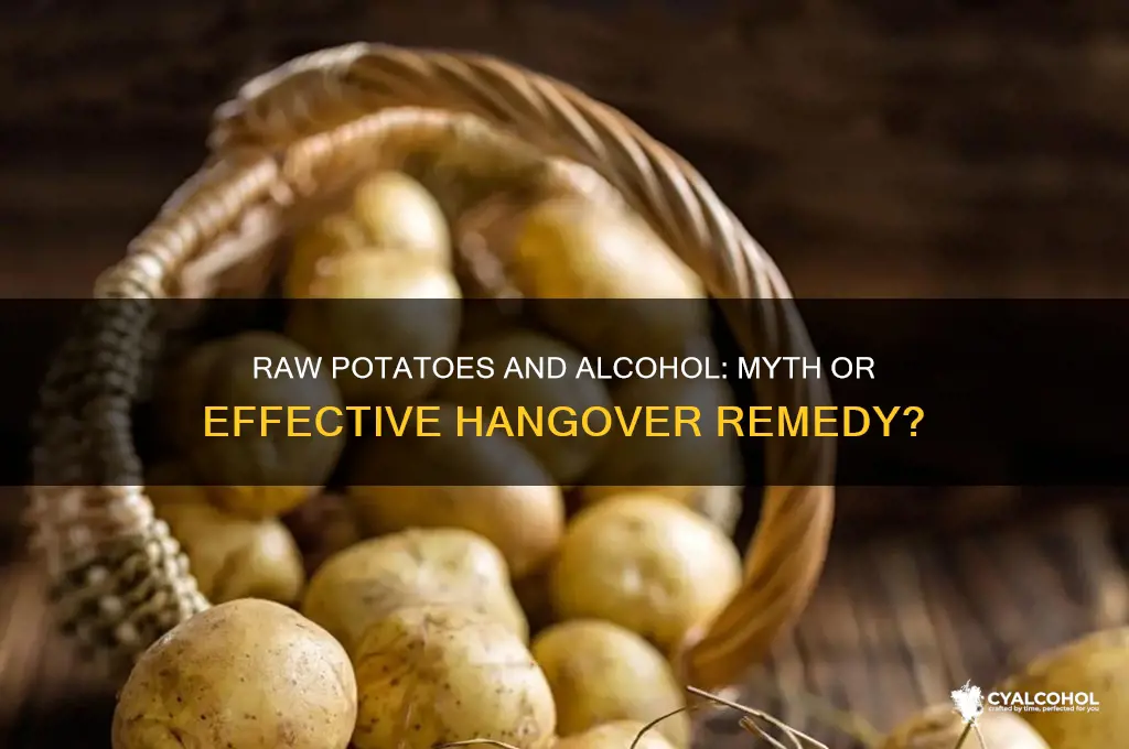 does eating a raw potato soak up alcohol