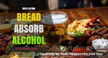 Does Bread Absorb Alcohol? Separating Fact from Fiction in Hangover Myths