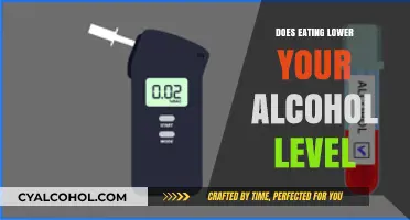 Can Eating Food Lower Your Blood Alcohol Level? Facts Explained