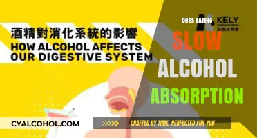 Exploring the Science: How Eating Affects Alcohol Absorption