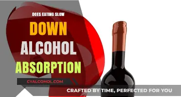 Does Eating Slow Alcohol Absorption? Facts and Myths Explained
