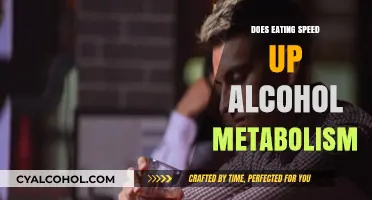 Can Eating Faster Metabolize Alcohol? Facts and Myths Explained