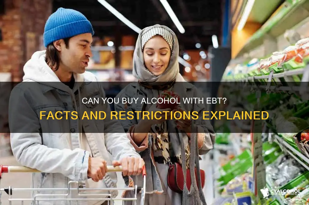 does ebt cover alcohol