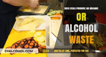 E. coli Waste: Organic Matter or Alcohol Byproduct Explained