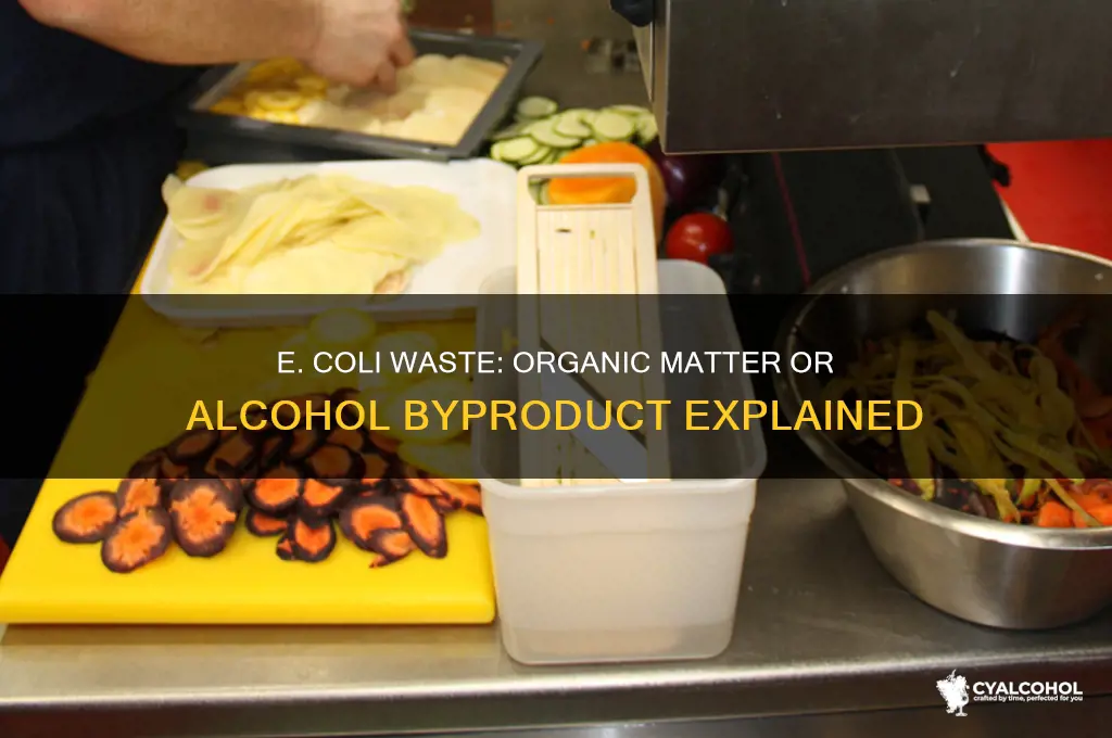 does ecoli produce an organic or alcohol waste