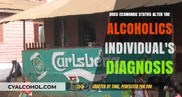 Economic Status: Impact on Alcoholism Diagnosis and Treatment