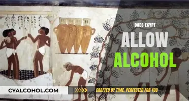 Exploring Egypt's Alcohol Policies: What Tourists Need to Know