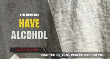 Does Elderberry Syrup Contain Alcohol? Unraveling the Truth Behind the Myth