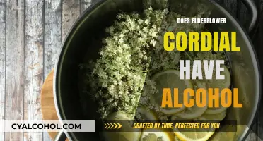 Exploring the Ingredients: Is Elderflower Cordial Alcoholic?