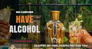 Does Elderflower Naturally Contain Alcohol? Unveiling the Truth Behind the Beverage