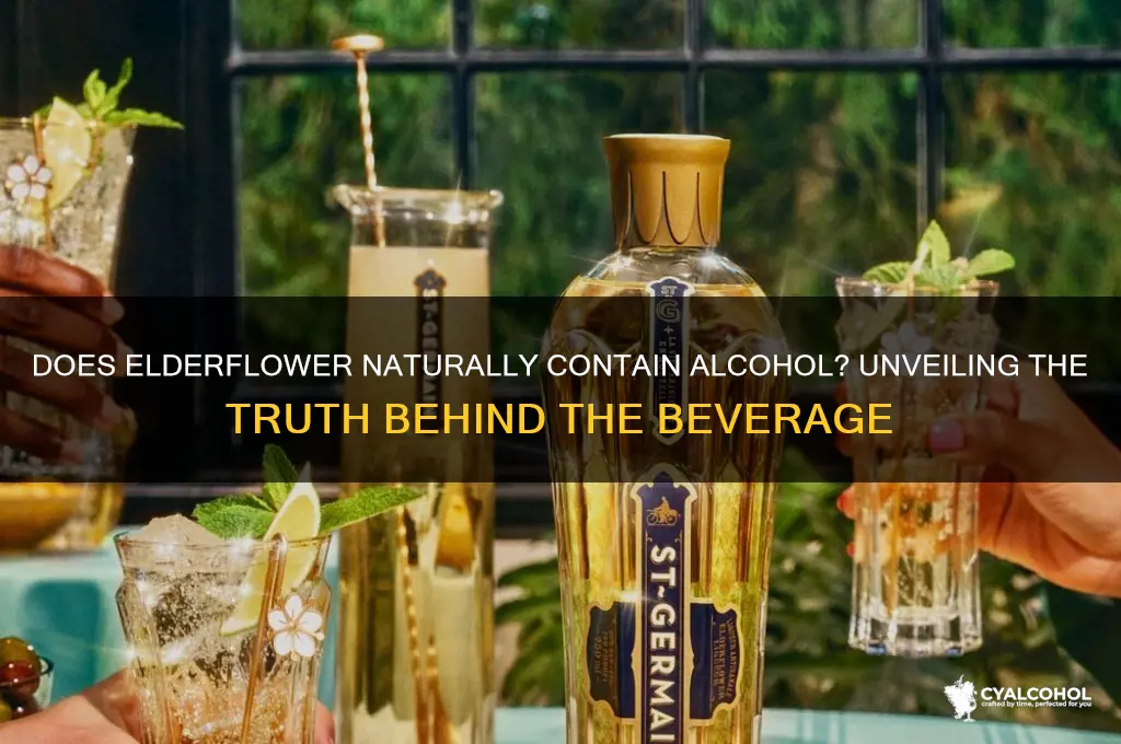 does elderflower have alcohol