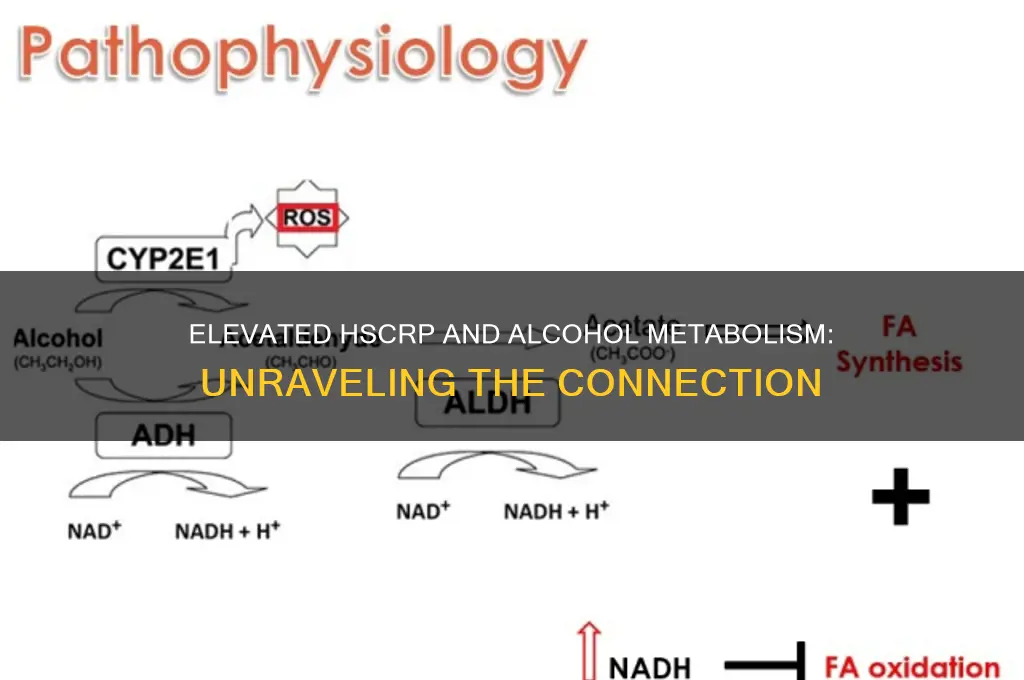 does elevated hscrp lead to difficulty metabolizing alcohol