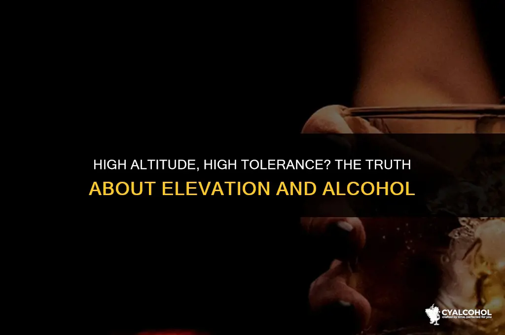 does elevation change alcohol tolerance