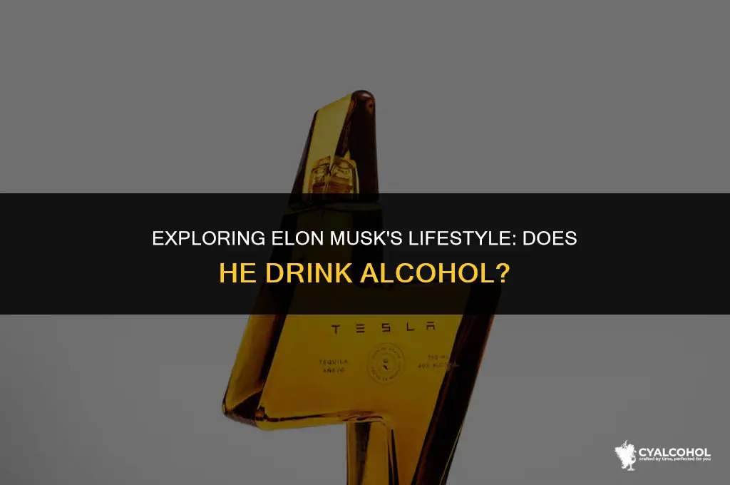 does elon musk consume alcohol